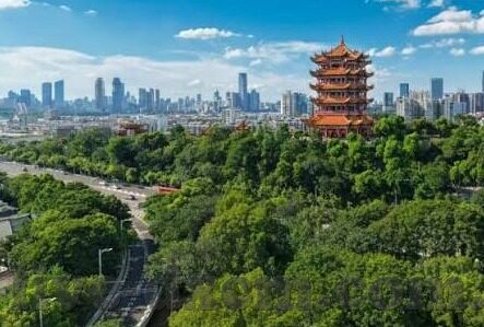 麻豆传媒免费60秒是哪个网站-揭秘网络迷雾，探寻麻豆传媒60秒背后真相